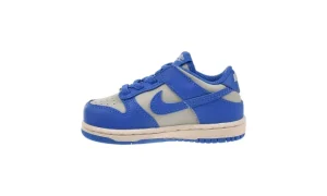 Dunk Low TD "Light Silver/LT Photo Blue"