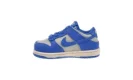 Dunk Low TD "Light Silver/LT Photo Blue"
