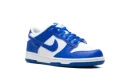 Dunk Low GS "Kentucky"