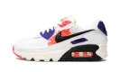 AIR MAX 90 MNS WMNS "Brushstroke"