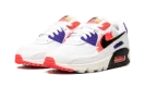 AIR MAX 90 MNS WMNS "Brushstroke"