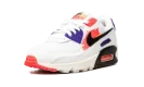 AIR MAX 90 MNS WMNS "Brushstroke"