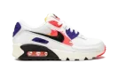 AIR MAX 90 MNS WMNS "Brushstroke"