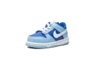 Dunk Low Retro QS TDE "Argon TD"