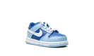 Dunk Low Retro QS TDE "Argon TD"