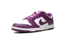 Dunk Low "Viotech"