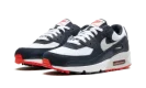 Air Max 90 "Navy / Crimson"