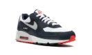 Air Max 90 "Navy / Crimson"