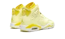 Air Jordan 6 GS "Citron Tint / Floral"