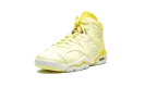Air Jordan 6 GS "Citron Tint / Floral"