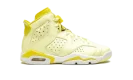Air Jordan 6 GS "Citron Tint / Floral"