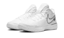 Zoom Lebron NXXT Gen "White / Metallic Silver"
