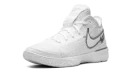 Zoom Lebron NXXT Gen "White / Metallic Silver"