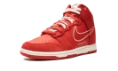 Dunk Hi SE "First Use"