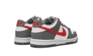 Dunk Low Next Nature GS "Smoke Grey"