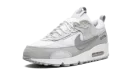 AIR MAX 90 FUTURA MNS WMNS "Summit White / Pure Platinum"
