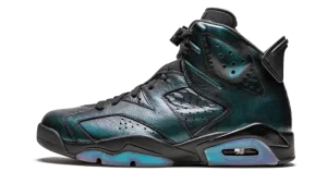 Air Jordan 6 Retro AS "All Star Game / Chameleon"