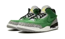 Air Jordan 3 Retro "Oregon Sample"