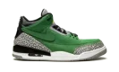 Air Jordan 3 Retro "Oregon Sample"