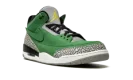 Air Jordan 3 Retro "Oregon Sample"