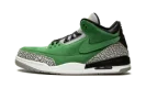 Air Jordan 3 Retro "Oregon Sample"