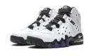 Air Max2 CB '94 "White / Varsity Purple"