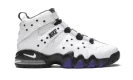 Air Max2 CB '94 "White / Varsity Purple"