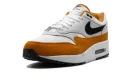 Air Max 1 "Monarch"
