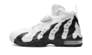 Air DT Max '96 "Colorado Away"