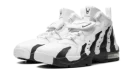 Air DT Max '96 "Colorado Away"