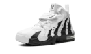 Air DT Max '96 "Colorado Away"