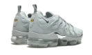 Air Vapormax Plus "Grey"