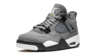 Air Jordan 4 Retro GS "COOL GREY"