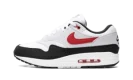 Air Max 1 "Chili 2.0"