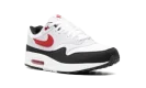 Air Max 1 "Chili 2.0"