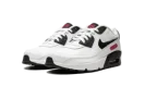 Air Max 90 LTR SE 2 "Very Berry"
