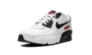Air Max 90 LTR SE 2 "Very Berry"