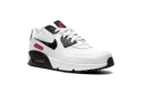 Air Max 90 LTR SE 2 "Very Berry"