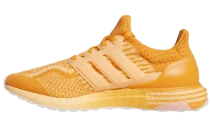 Ultra Boost 5.0 DNA "Acid Orange"