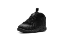 Air Foamposite One TD " "Anthracite"