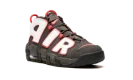 Air More Uptempo GS "Brown Bulls"