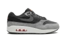 Nike Air Max 1 PRM "Smoke Grey"