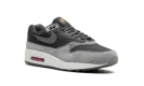 Nike Air Max 1 PRM "Smoke Grey"