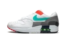 Air Max 1 "Evolution Of Icons"