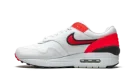 Air Max 1 "Evolution Of Icons"