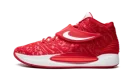 KD 14 TB "University Red"