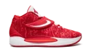 KD 14 TB "University Red"