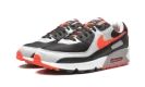 Air Max 90 "Radiant Red"