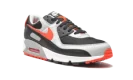 Air Max 90 "Radiant Red"