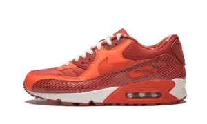 Air Max 90 QK "STEVE NASH"